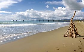Beachside Haven 1 Bed 1 Bath